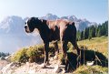 1999-09-12 - Dolomiti - a Misurina 1